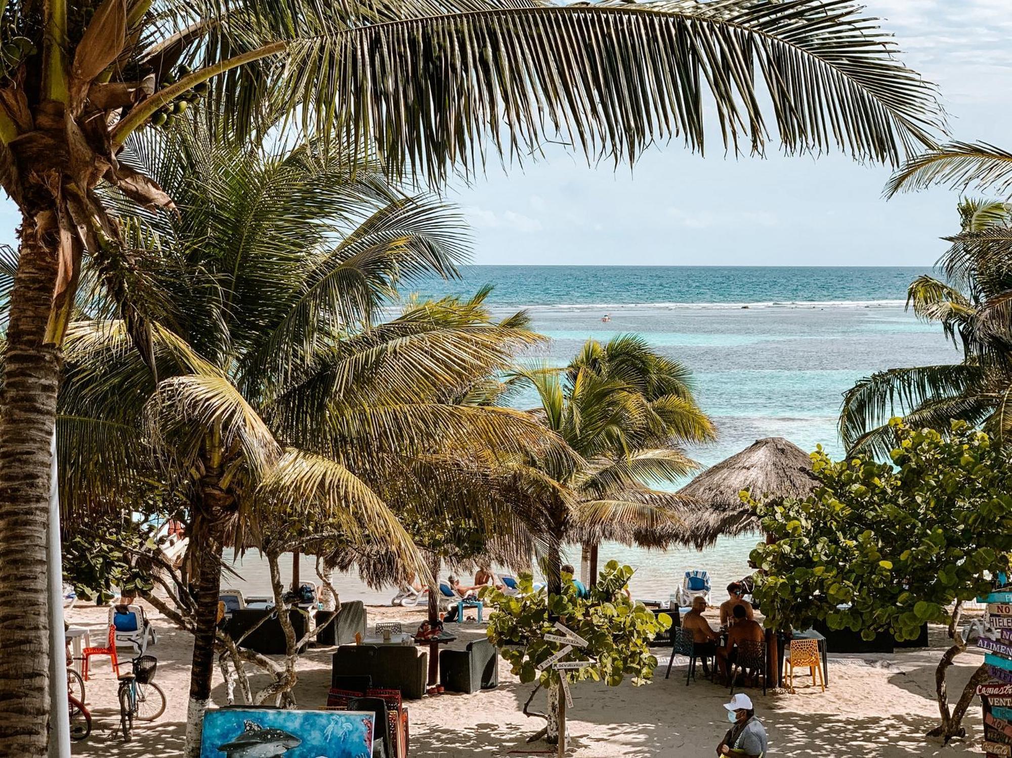 El Fuerte Beach Apartments มาอาอวล ห้อง รูปภาพ