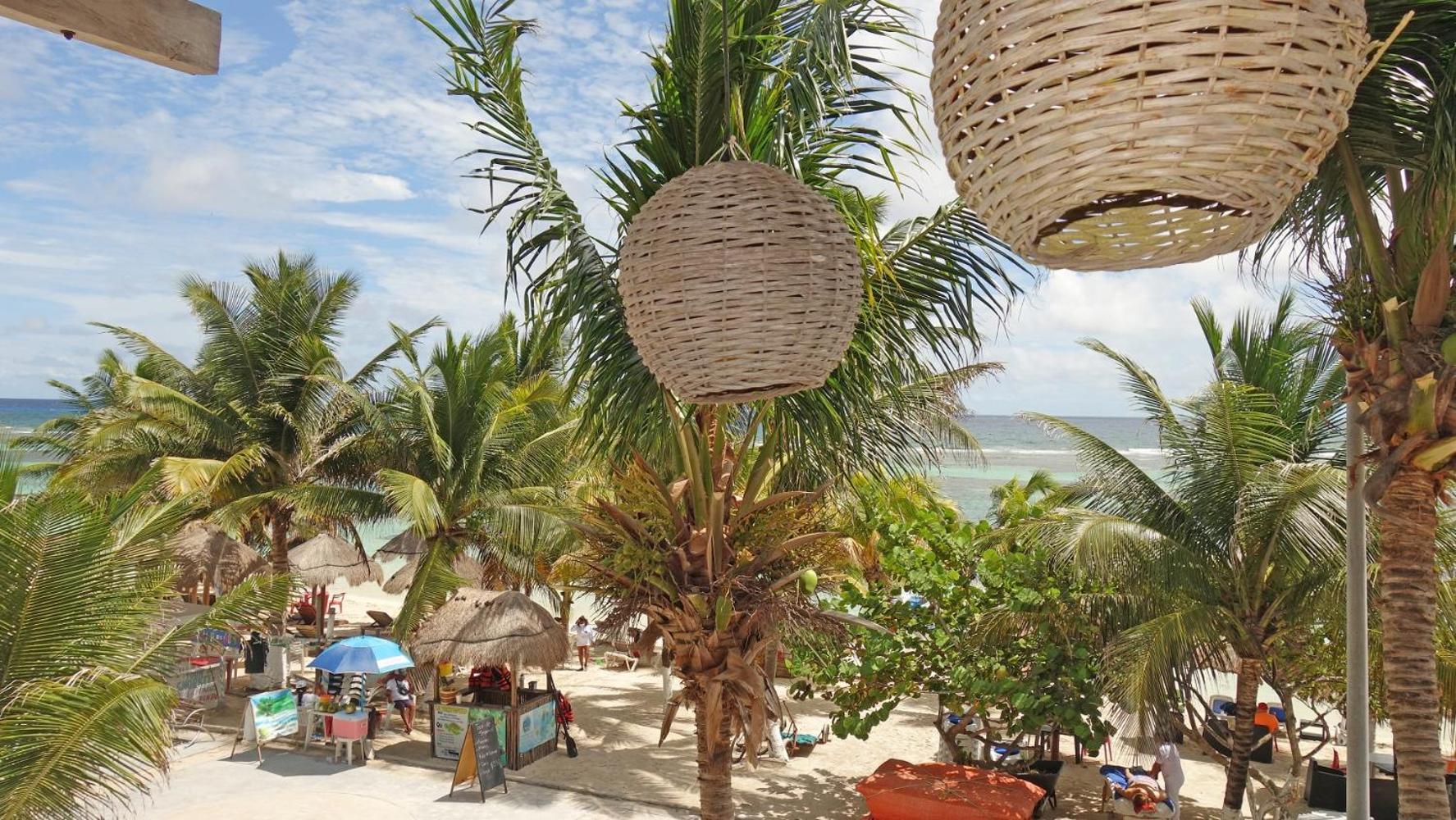 El Fuerte Beach Apartments มาอาอวล ห้อง รูปภาพ