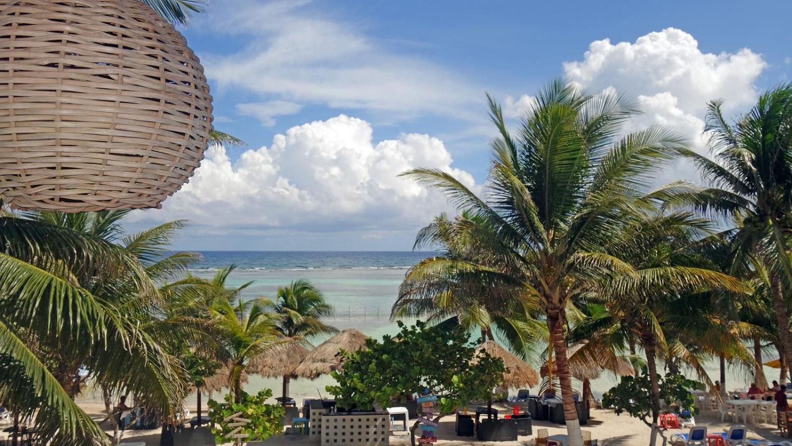 El Fuerte Beach Apartments มาอาอวล ห้อง รูปภาพ